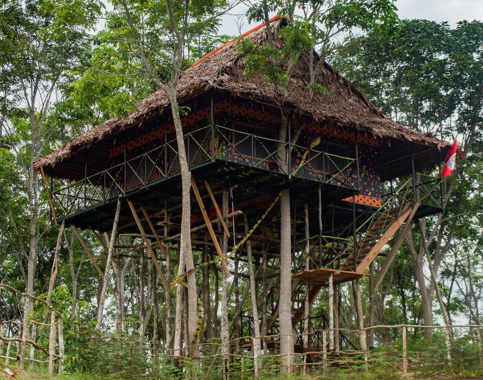 A treehouse room raised into the canopy